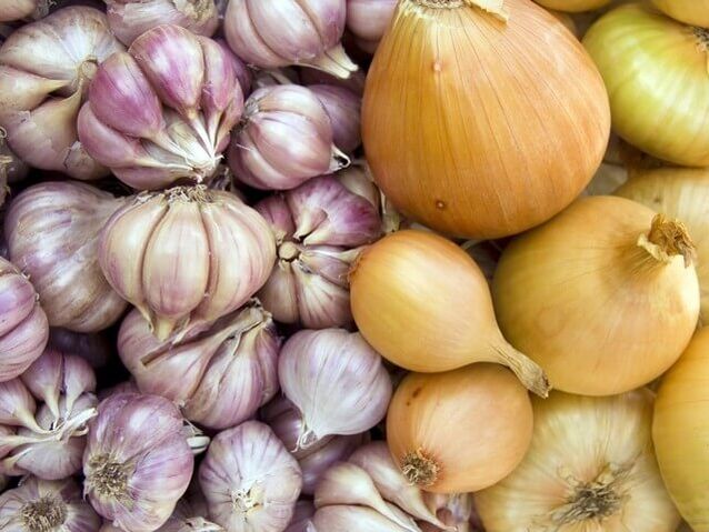 Fresh onions and garlic for deworming